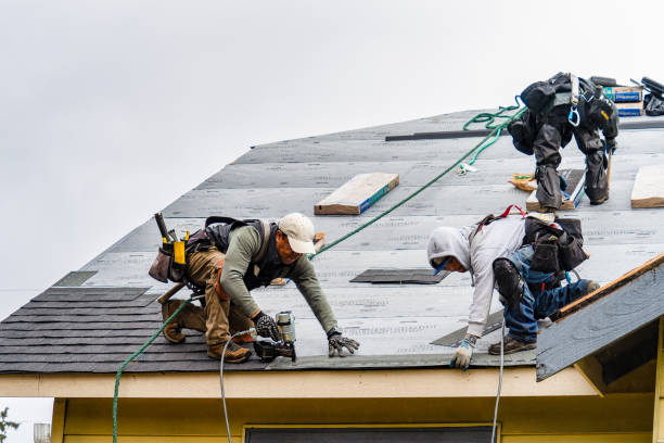 Professional Storm Damage Roof Repair technician working in Camanche, IA